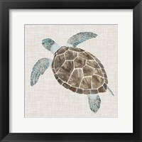 Sea Turtle II Framed Print