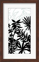 Rainforest Ferns II Fine Art Print