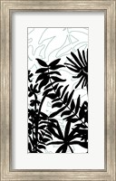 Rainforest Ferns II Fine Art Print