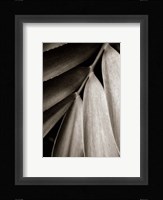 Tropical Plant II Fine Art Print