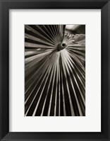 Palm Frond I Framed Print