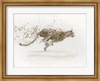 Cheetah Fine Art Print