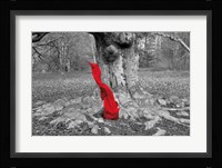 Flow I Framed Print