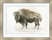 Buffalo Bill Fine Art Print