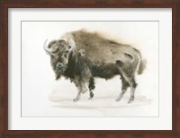 Buffalo Bill Fine Art Print
