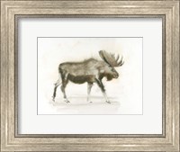 Dark Moose Fine Art Print