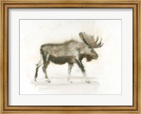 Dark Moose Fine Art Print
