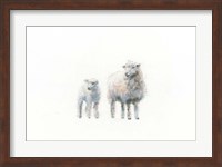 Sheep and Lamb Fine Art Print