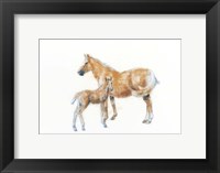 Horse and Colt Fine Art Print