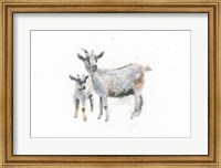 Goat and Kid Fine Art Print
