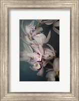 Dark Orchid I Fine Art Print