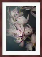 Dark Orchid I Fine Art Print