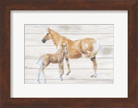 Horse and Colt on Wood Fine Art Print
