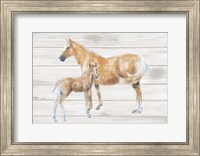 Horse and Colt on Wood Fine Art Print