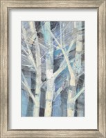 Winter Birches I Fine Art Print