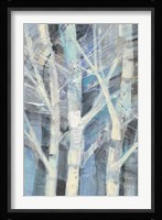 Winter Birches I Framed Print