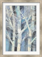 Winter Birches I Fine Art Print