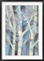 Winter Birches I Framed Print