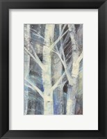 Winter Birches II Fine Art Print