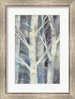 Winter Birches II Fine Art Print
