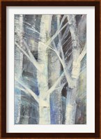 Winter Birches II Fine Art Print