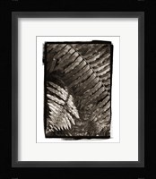 Fern I Fine Art Print