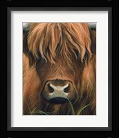 Cow Portrait Fine Art Print