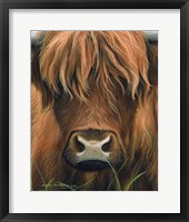 Cow Portrait Fine Art Print