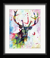 Color Stag Fine Art Print