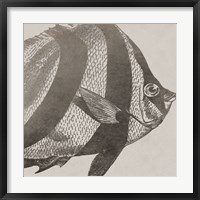 Vintage Fish I Fine Art Print