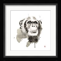 Chimp Fine Art Print
