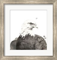 Eagle Fine Art Print