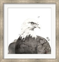 Eagle Fine Art Print