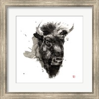 Buffalo Fine Art Print