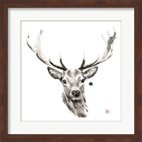 Elk Fine Art Print