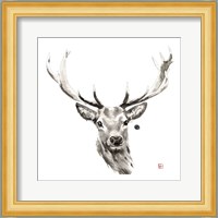 Elk Fine Art Print