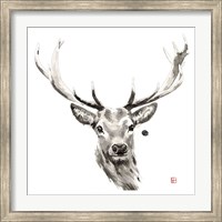 Elk Fine Art Print