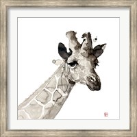 Giraffe Fine Art Print