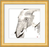 Elephant Fine Art Print