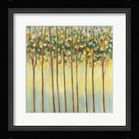 Awakening Tree Tops Fine Art Print