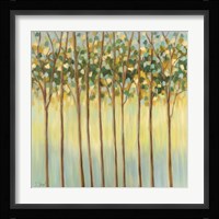 Awakening Tree Tops Fine Art Print