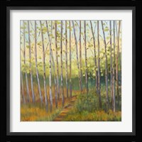 Vista Trees Fine Art Print