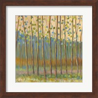 Through Pastel Trees Fine Art Print