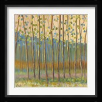 Through Pastel Trees Fine Art Print