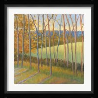 Beginning to Peak Fine Art Print