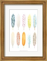 Feather Patterns II Fine Art Print