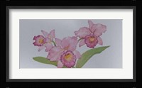 Exotic Flowers I Framed Print