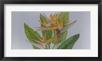 Exotic Flowers II Fine Art Print