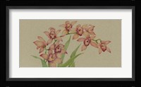 Exotic Flowers III Framed Print