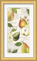 Pyrus Study I Fine Art Print